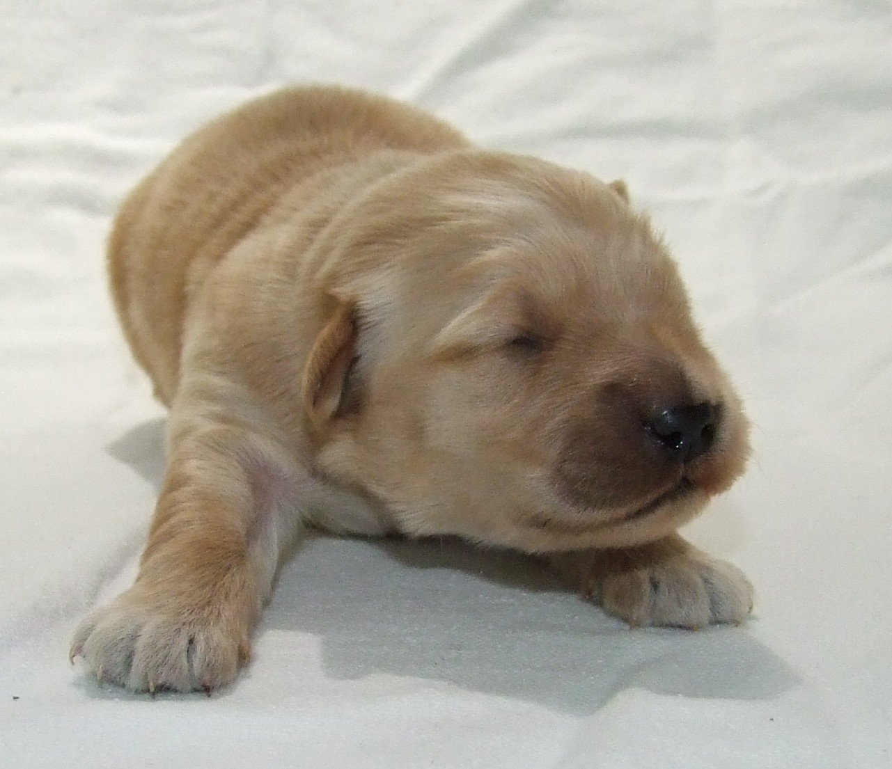 First slide image