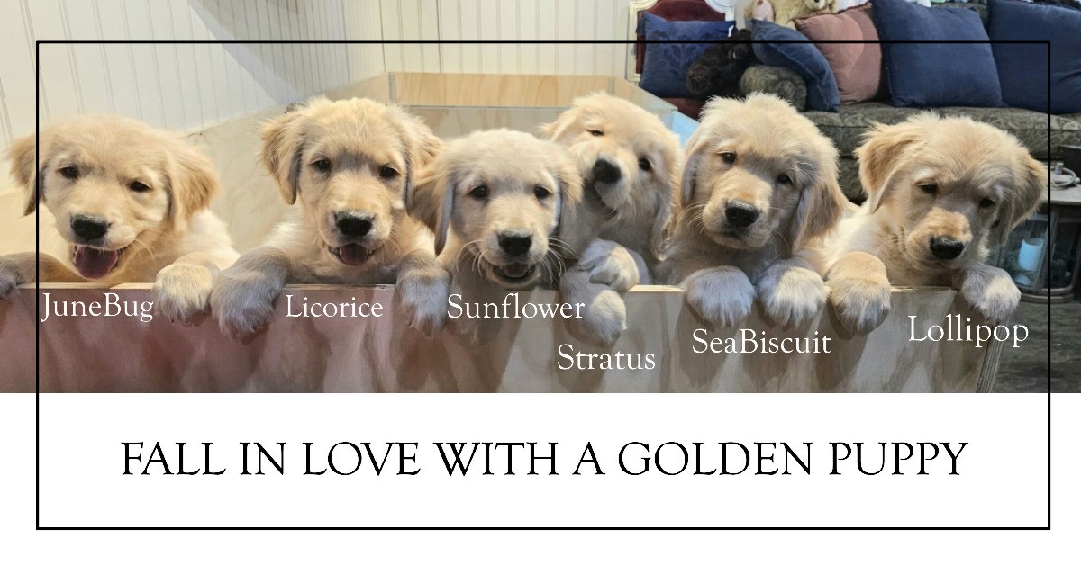 Fifth slide image
